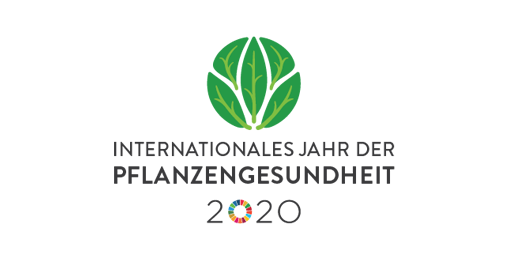 Logo Jahr der Pflanzengesundheit