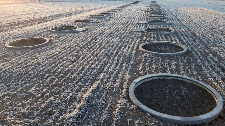 Lysimeteranlage_Brandis_2019