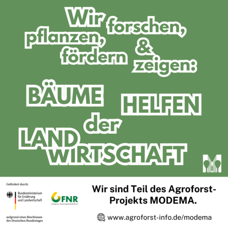 MODEMA-Partner