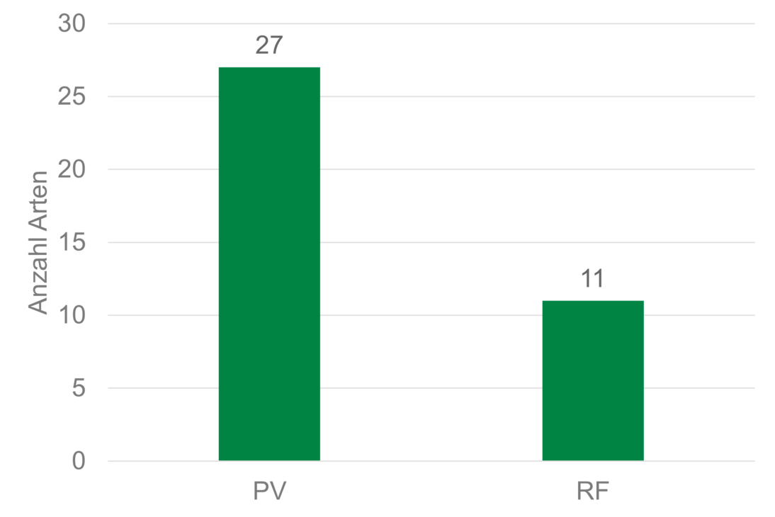 Diagramm Wildbienenarten Krauscha 2025