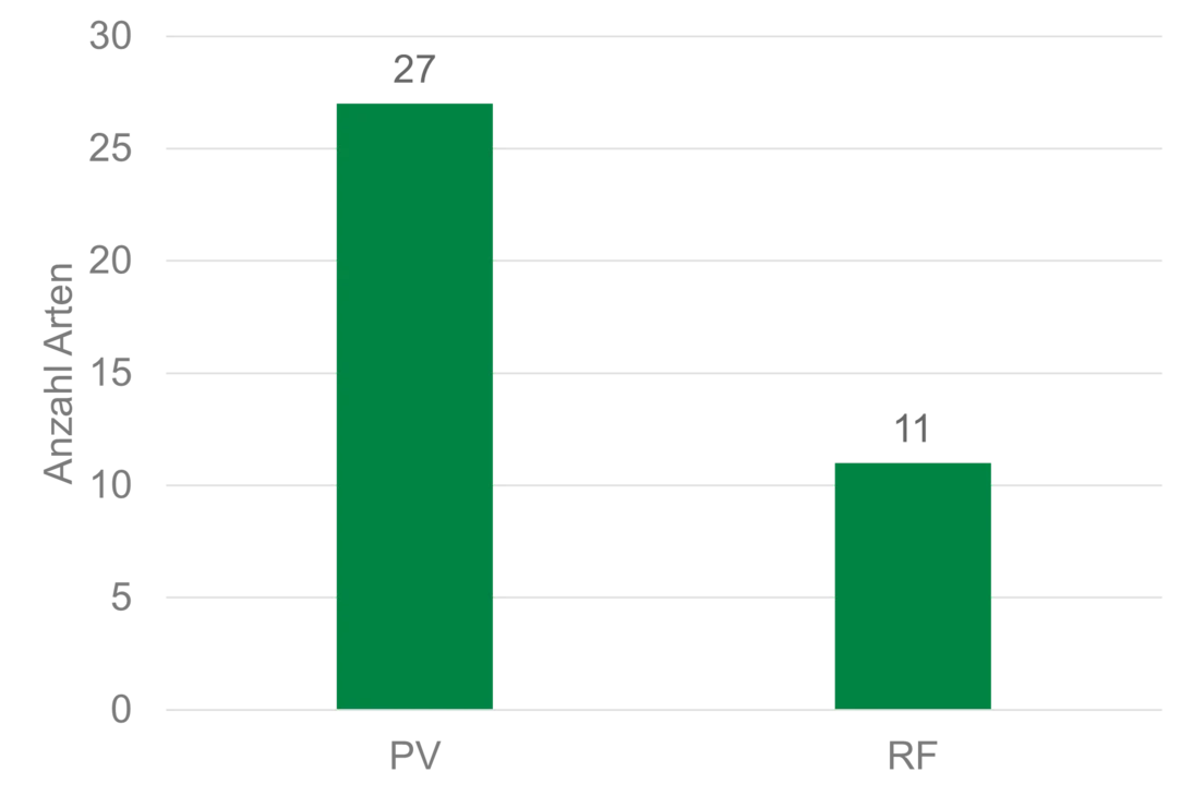 Diagramm Wildbienenarten Krauscha 2025