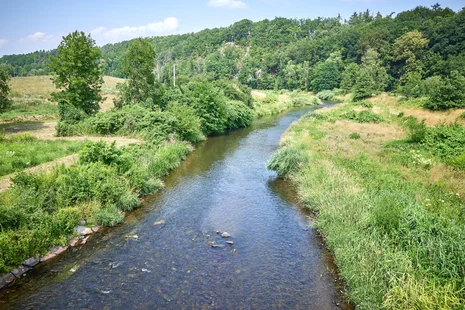 Fluss mit Uferbegrünung