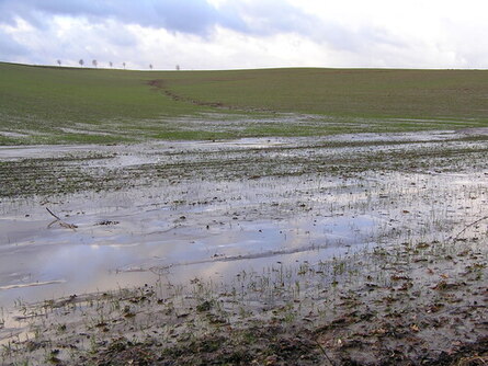 Wassererosion auf Acker