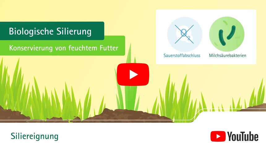 YouTube-Button vor Screenshot