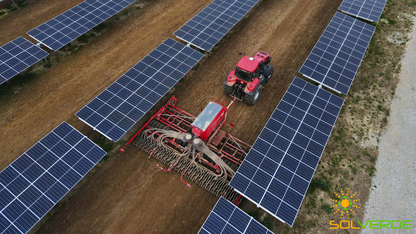 Ein Traktor fährt auf einer Agri-PV-Anlage mit einer Drillmaschine