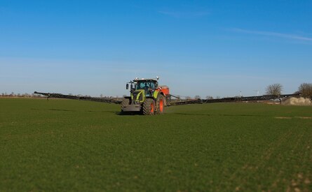 Stickstoffdüngung Winterweizen