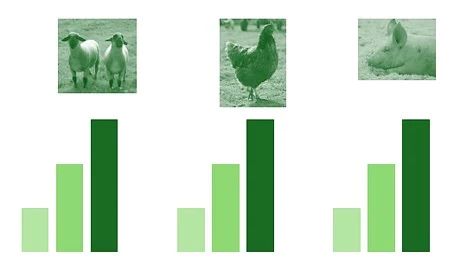 Diagramm mit Bildern vom Schaf, Schein und Huhn