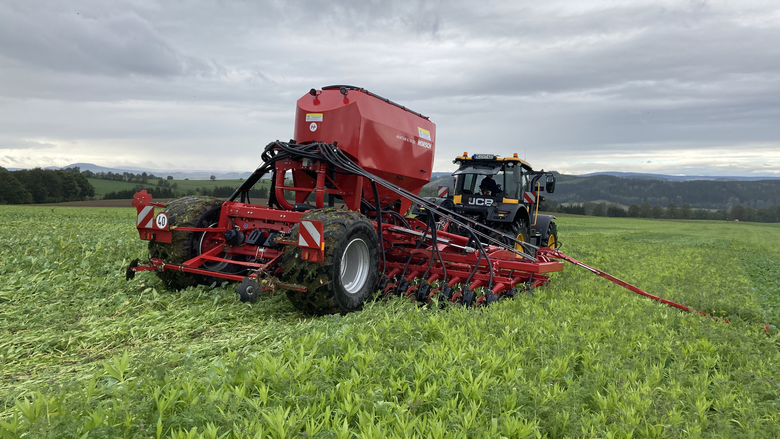 Auf dem Bild ist zu sehen, wie in einen breitgewalzten Zwischenfruchtbestand eine Hauptkultur direkt eingesät wird.