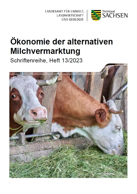 Rinder im Stall