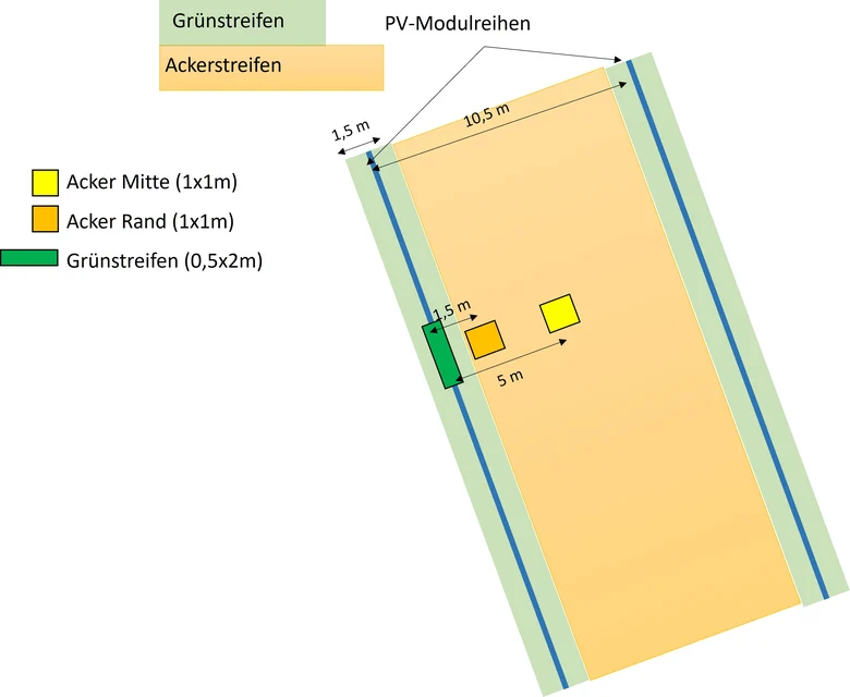 Schema Vegetationsaufnahmen im Projekt BiodivAgriPV