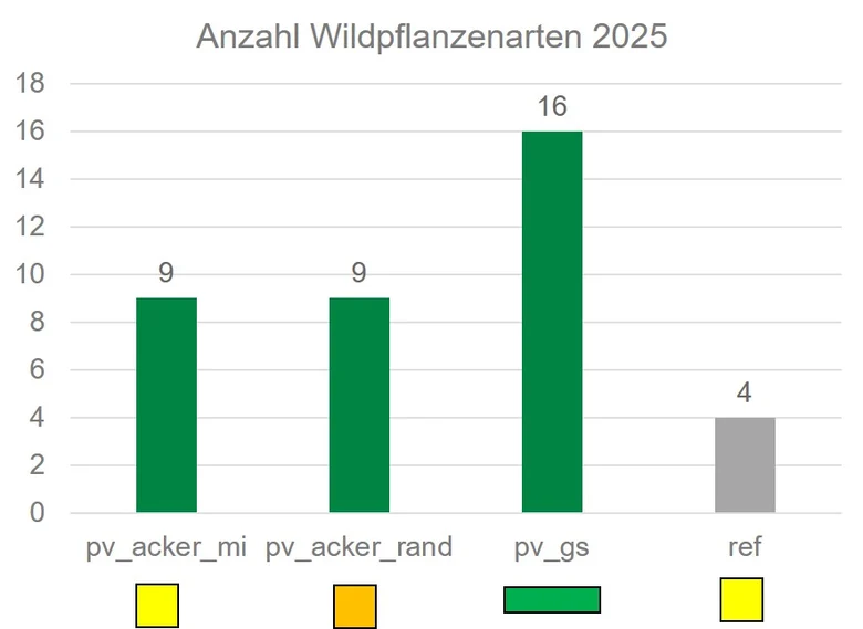 Säulendiagramm der Vegetationsaufnahmeergebnisse Krauscha 2025