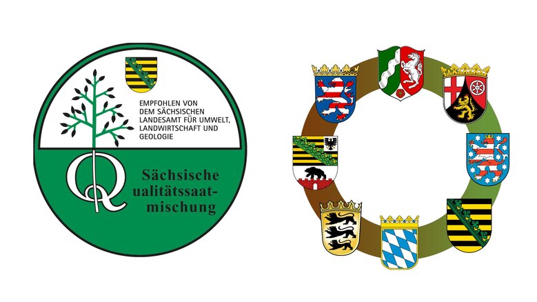 Logo Sächsische Qualitätssaatmischungen und Wappenkranz der beteiligten Bundesländer