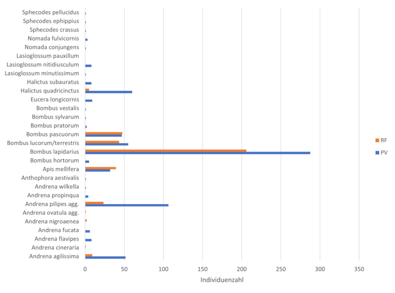 Säulendiagramm Wildbienen Gut Krauscha