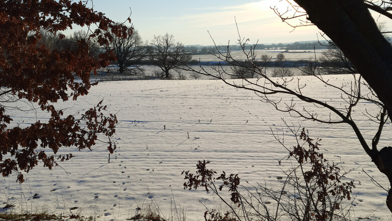 Winterlandschaft_Mulde_Dehnitz_2021_01_17