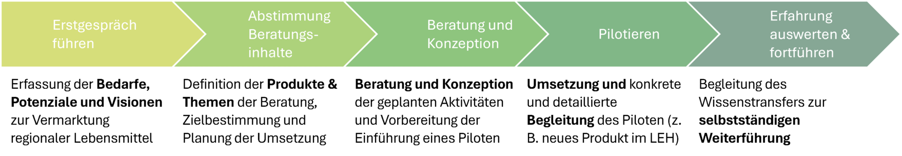 Die Grafik beschreibt den strukturierten Beratungsansatz nach Design Thinking