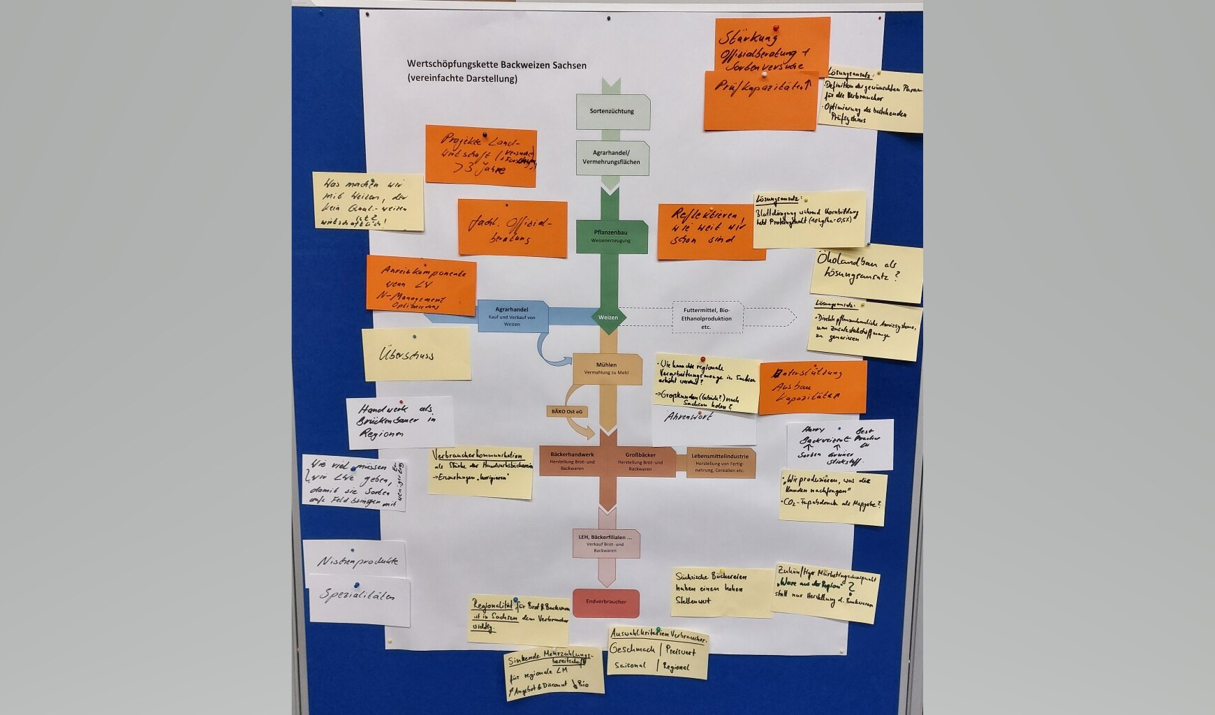 Das Bild zeigt auf einer Pinnwand befestigte Kärtchen mit Vorschlägen der Akteure zur Wertschöpfungskette Backweizen
