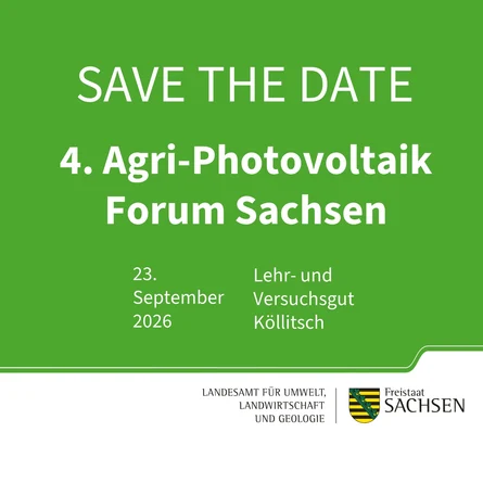 save the date