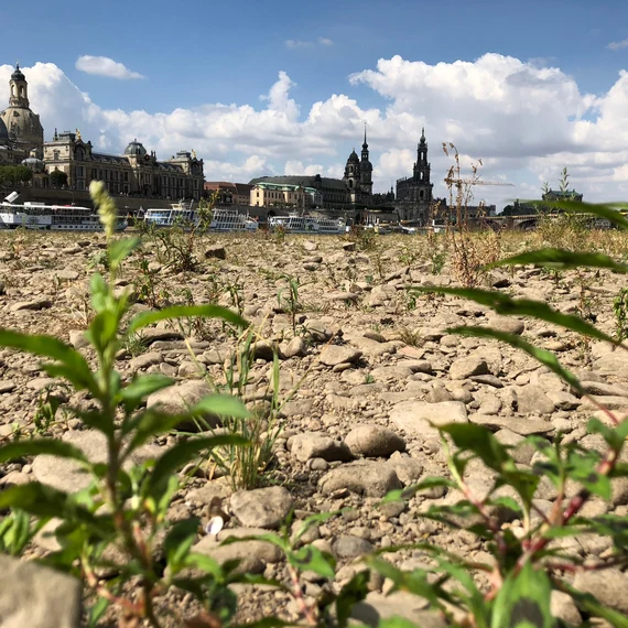 ausgetrocknetes Elbufer mit Dresden im Hintergrund